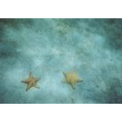 Kim Daves's photo