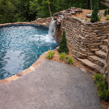 Doug B. Natural Swimming Pool Project