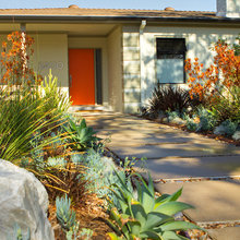 Exterior Ideas