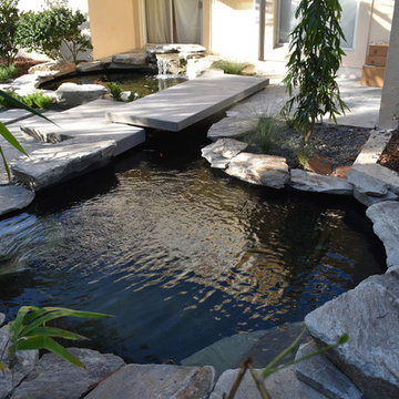 Modern Front Yard Water Garden