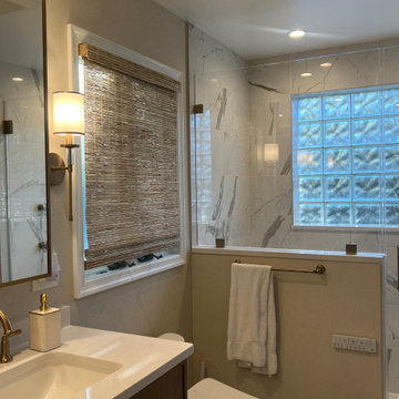 Alexandria Renovations- Primary Bath and Dining Room