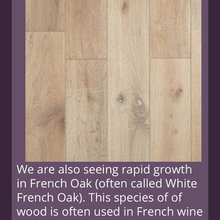Flooring & Stain Colors for Island & Floors