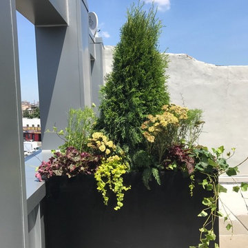 583 Franklin - Citi Habitats
