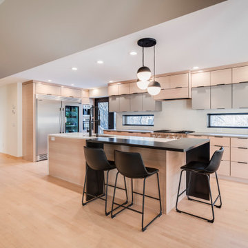 Minimalist Modern Kitchen