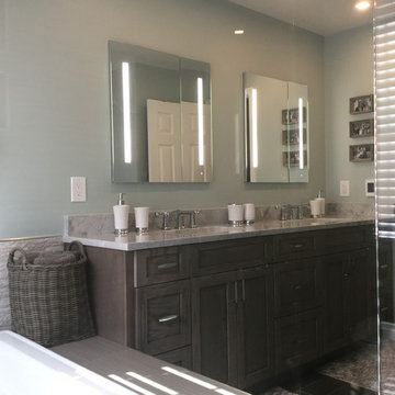 Master Bathroom-Cameron Station