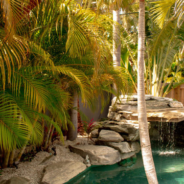 Tropical Design & Installation - South St. Petersburg