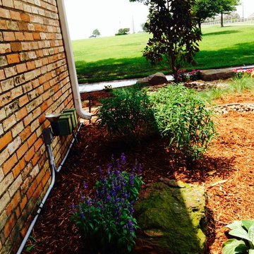 Xeriscape