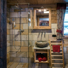 shed bathroom