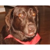 Kelly Taylor's photo