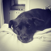 Anna Bruno's photo