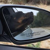 Sabrina Doherty's photo