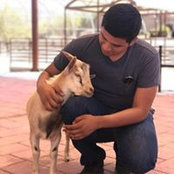 Aaron Rojas's photo