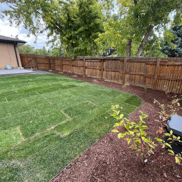 Cedar Street New Patio & Plants - Colorado Springs, CO