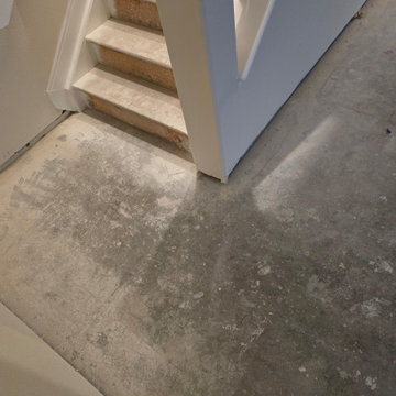 Basement Subtle Clay Carpet