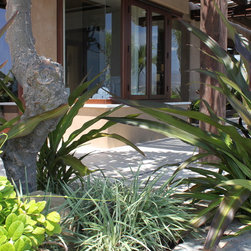 Casa De Play with Albertini Windows and Doors - Windows And Doors