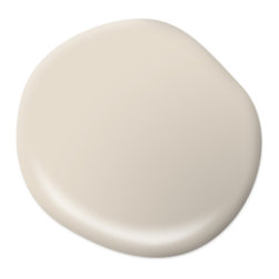 Pale Palomino HDC-CT-05 - Paint