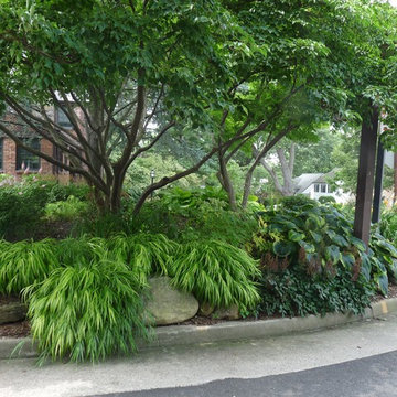 Tudor Gardens