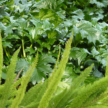 Yards: Turn Any Outdoor Space Into the Garden of Your Dreams