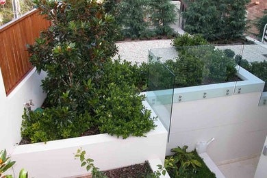 This is an example of a modern garden in Sydney.