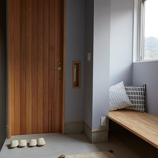他の地域の北欧スタイルのおしゃれな玄関の写真