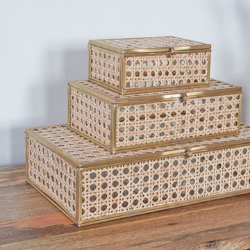 Cane Collection