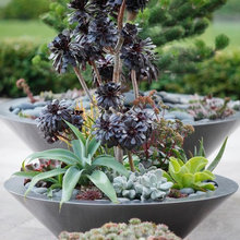 Container gardens