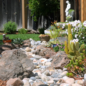 Low Water Gardens