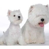 Elena Bogdanova's photo