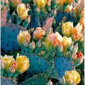 Mary Remar's photo