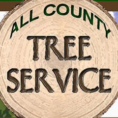 All County Tree Service