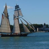 Dave Petro's photo