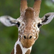 Jennifer Hedges's photo