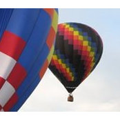 Tami Peek's photo