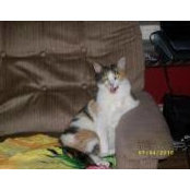 Cat Sorenson's photo