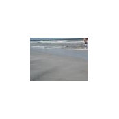 Adam's photo