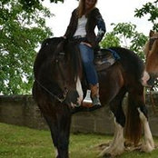 Sabine Helds billede