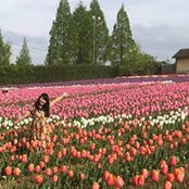 Moe Harada's photo
