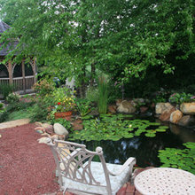 the backyard ound