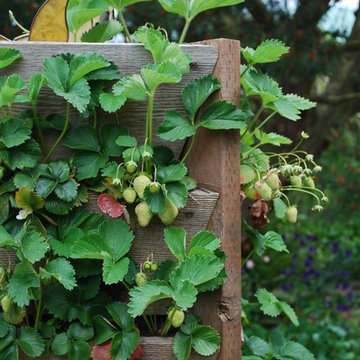 G A R D E N - The Edible Garden