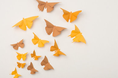 3D Butterfly Wall Art