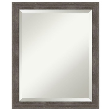 Pinstripe Lead Grey Beveled Wood Wall Mirror 18.5 x 22.5 in.