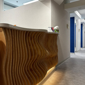 Parametric Wave Reception Desk