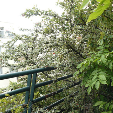 Entretien d'une terrase de maison de retraite