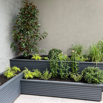 Garage Rooftop Container Garden