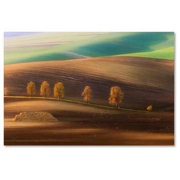 Piotr Krol 'Moravian Trees' Canvas Art, 32x22