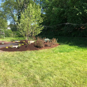 Hoffman Estates back yard