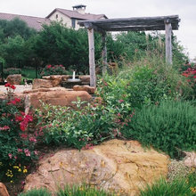 Landscape Ideas