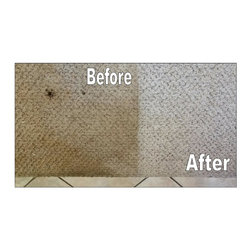 Carpet Cleaning - Carpet & Steam Cleaners