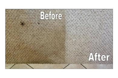 Carpet Cleaning