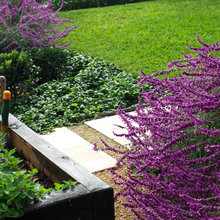 kitchen garden
